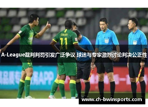 A-League裁判判罚引发广泛争议 球迷与专家激烈讨论判决公正性